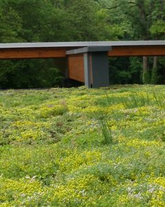 extensief groendak met sedum yvoir mont godinne ziekenhuis