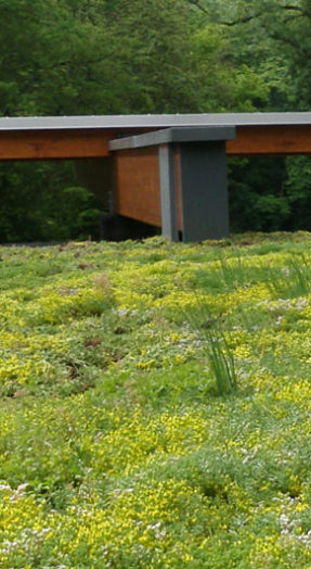 extensief groendak met sedum yvoir mont godinne ziekenhuis