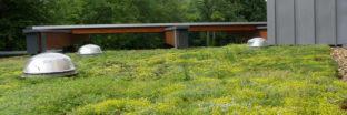 extensief groendak met sedum yvoir mont godinne ziekenhuis