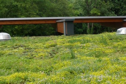 extensief groendak met sedum yvoir mont godinne ziekenhuis