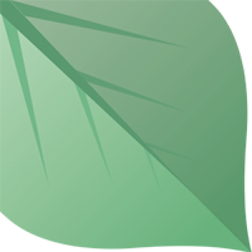 L’équipe