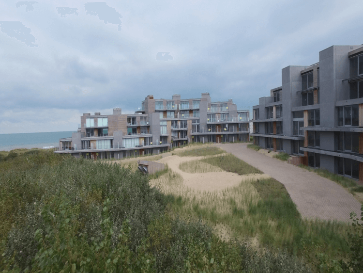 intensief groendak in de duinen