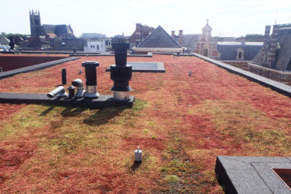extensief groendak met sedum militair ziekenhuis