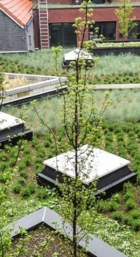 groendak klimaatsverandering