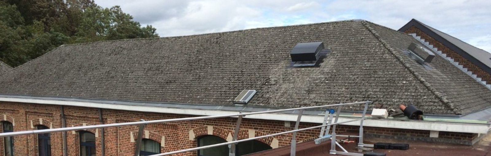 hekken op plat dak