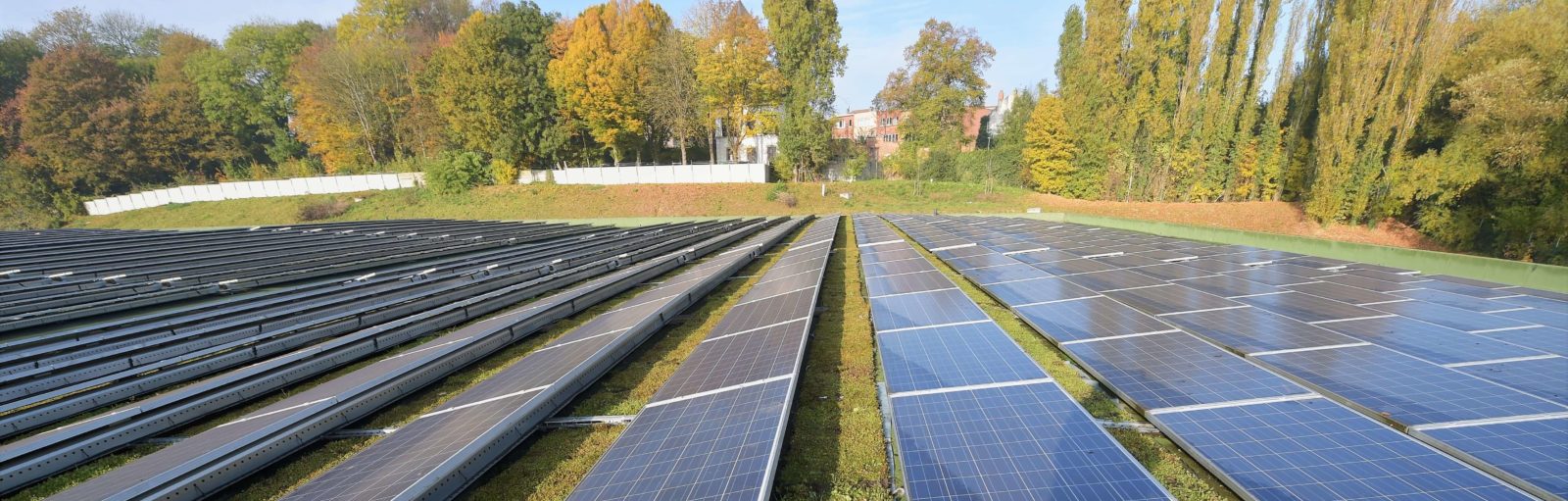 Toiture végétale plus durable : équipez-la de panneaux solaires !