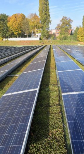 Toiture végétale plus durable : équipez-la de panneaux solaires !