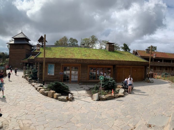 extensief groendak