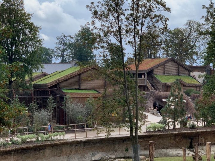 extensieve groendaken