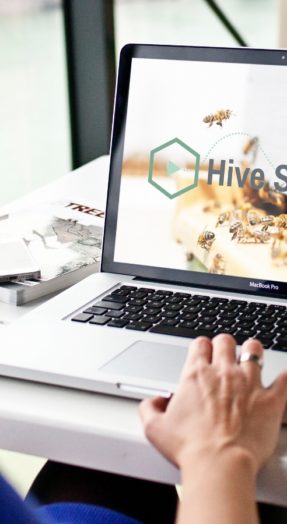 hivestream zoemdak