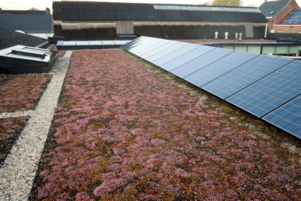 groendak met zonnepanelen