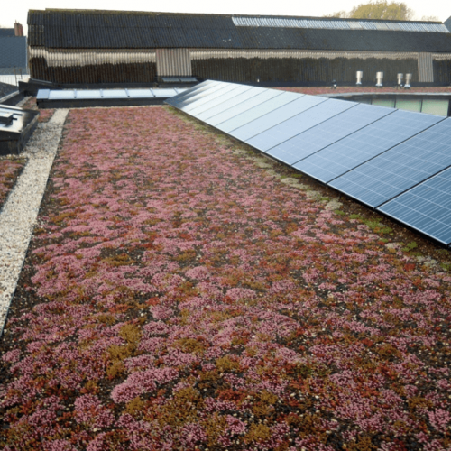 groendak met zonnepanelen