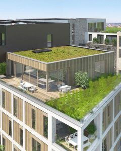 groendaken woonproject dac'art
