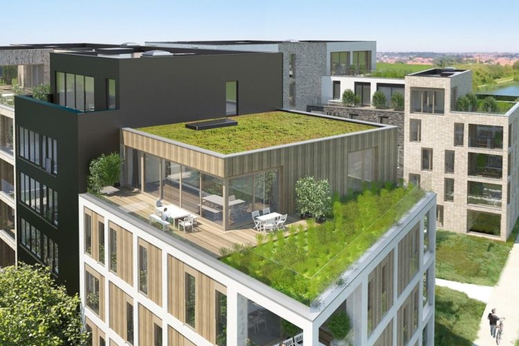 groendaken woonproject dac'art