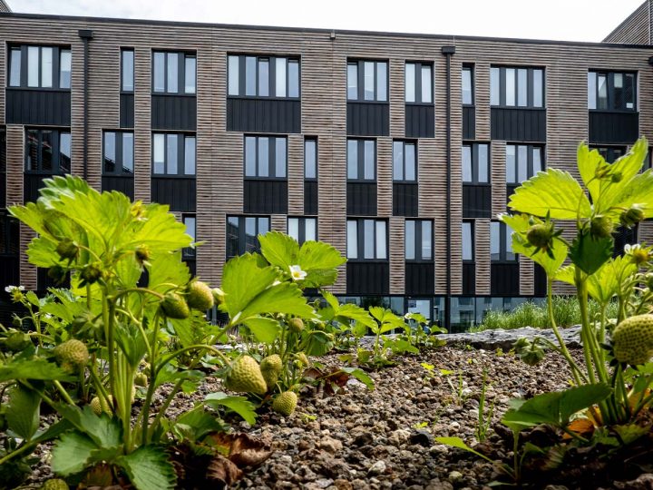 Administratief Centrum, La Louvière