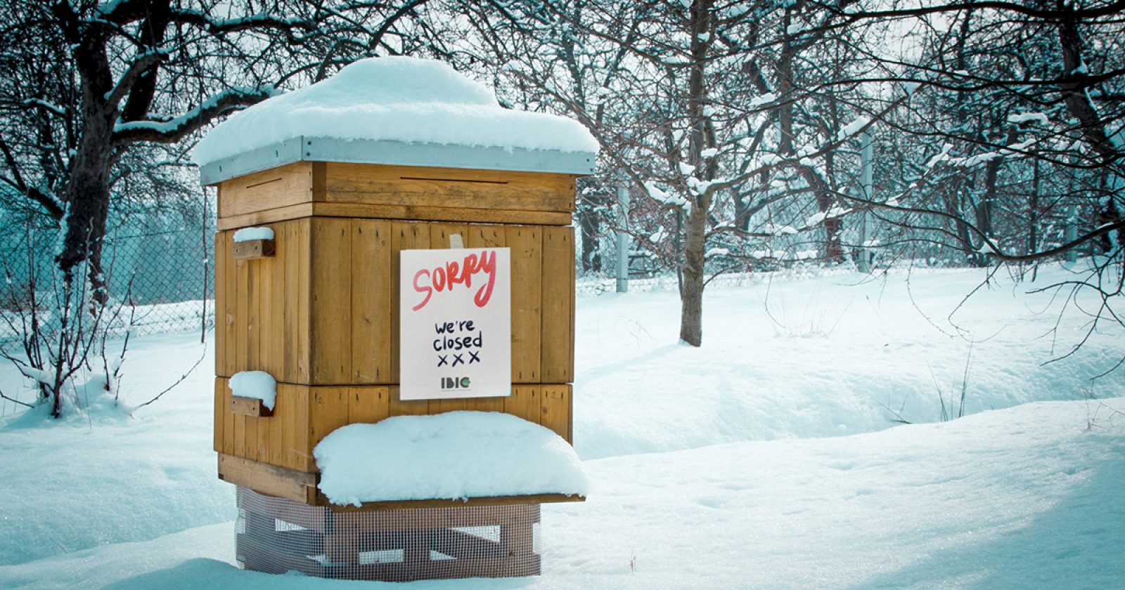 Wintersluiting 2021