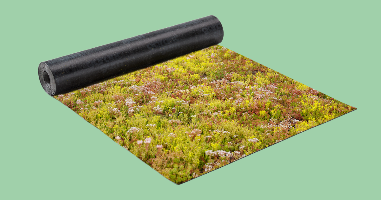 Afbeelding die een groendak toont, waarop de Sopragreencover actief is.