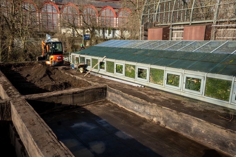 Travaux de démolition circulaire du toit vert de l’enclos des hippopotames au zoo d’Anvers