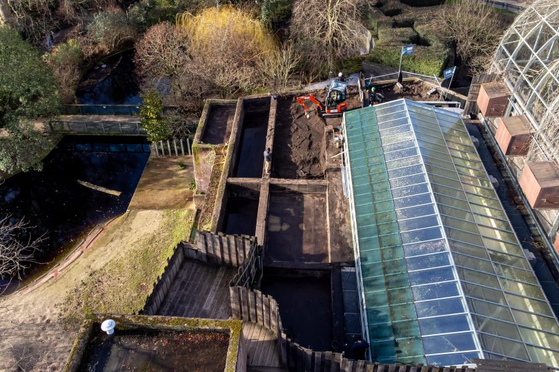 Travaux de démolition circulaire du toit vert de l’enclos des hippopotames au zoo d’Anvers