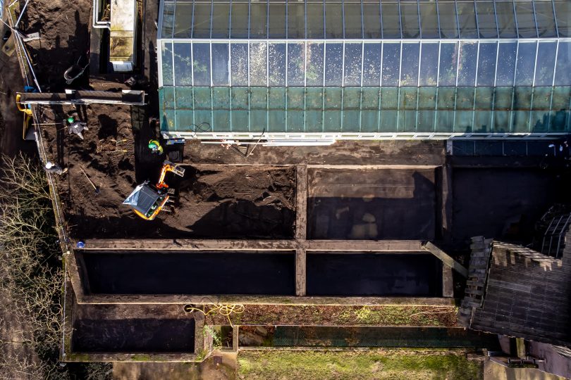 Travaux de démolition circulaire du toit vert de l’enclos des hippopotames au zoo d’Anvers