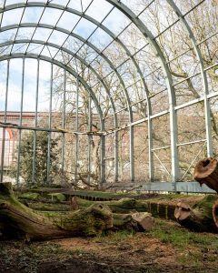 Circulaire afbraakwerken groendak van het nijlpaardenverblijf in de Zoo van Antwerpen